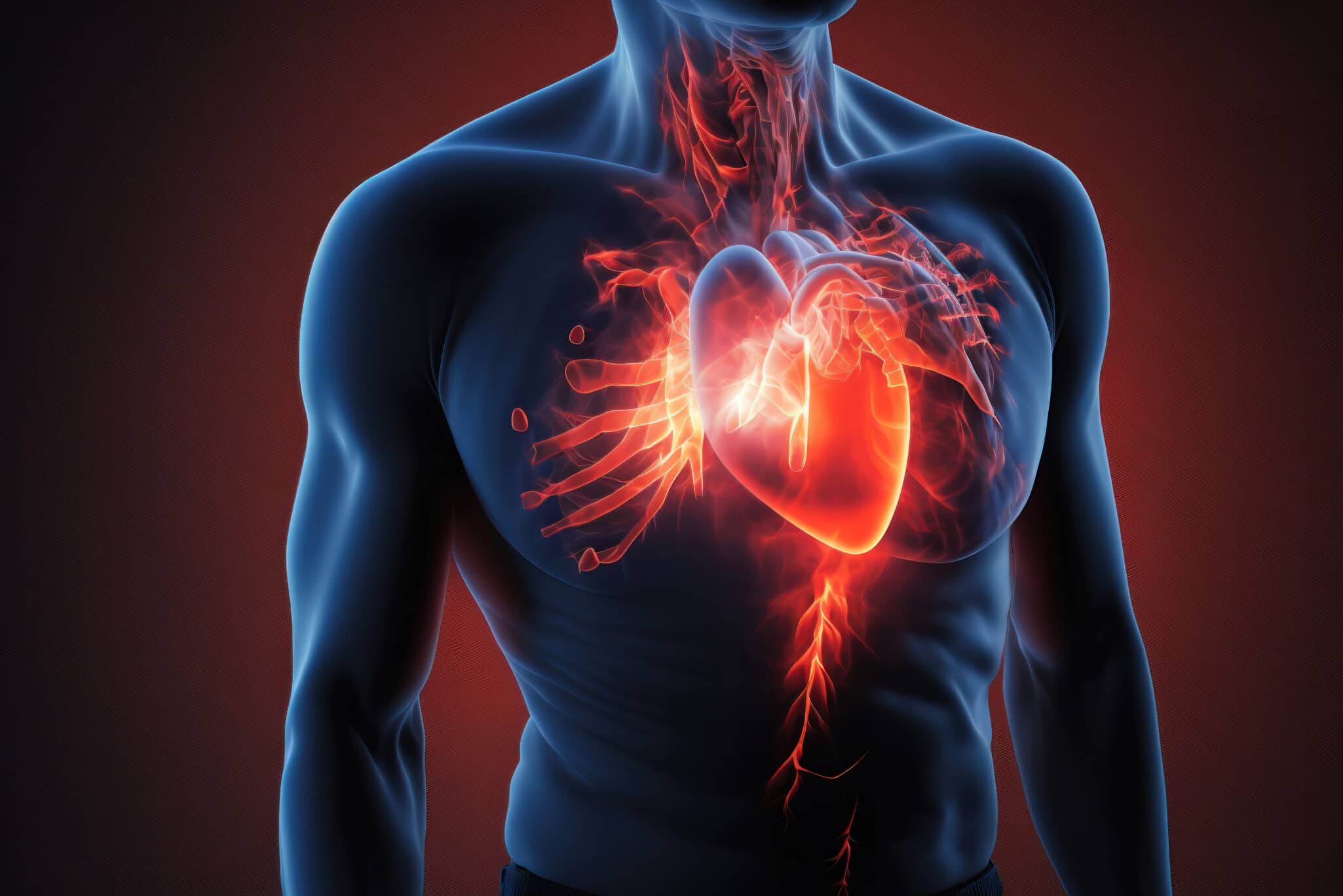 Diagram of human body with heart highlighted to show where aortic stenosis occurs.