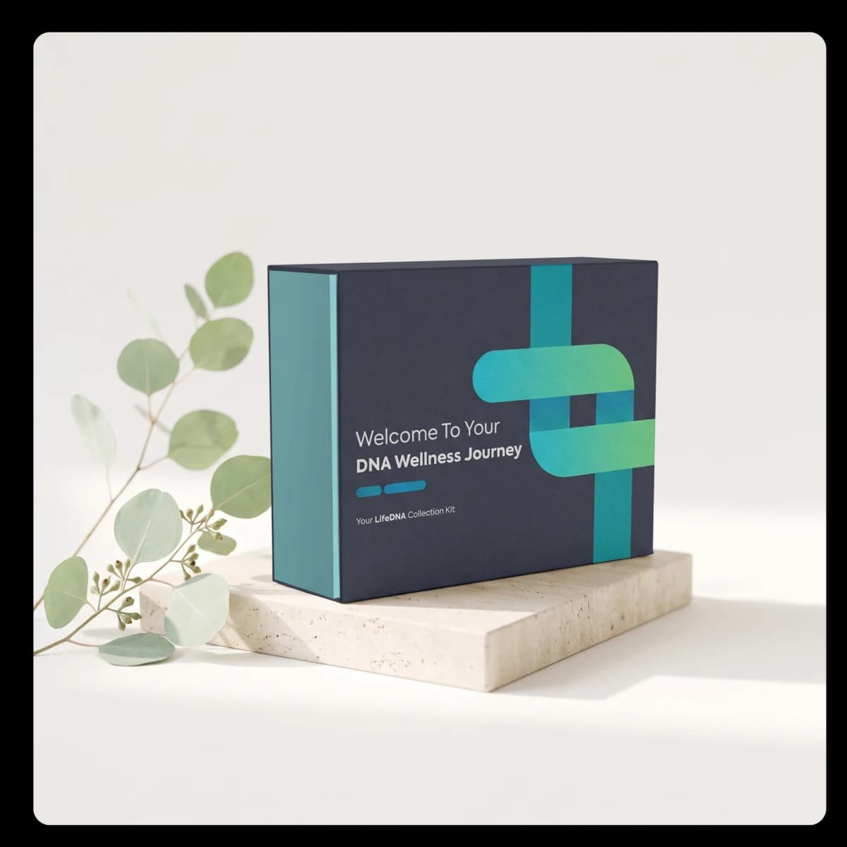 LifeDNA methylation DNA collection kit box