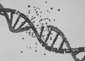 The Role of Your Diet in Genetic Damage