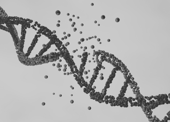 Diet and DNA Damage