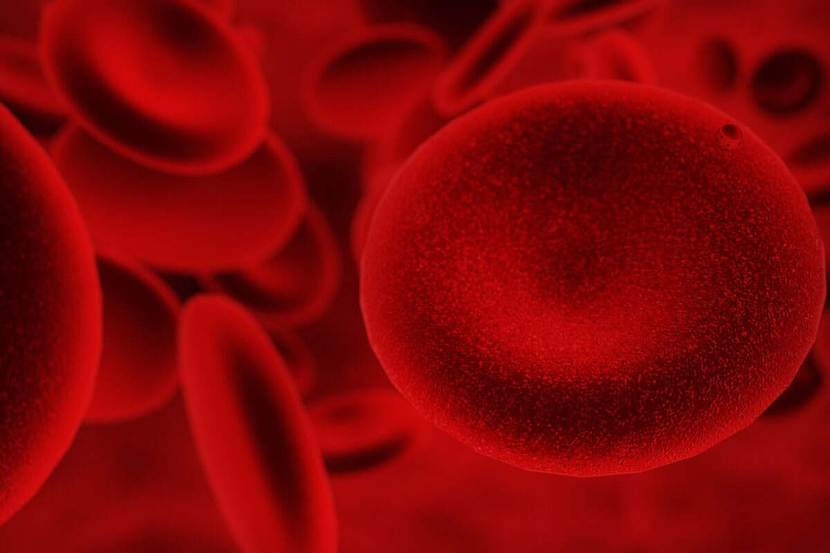 Red Blood Cell Distribution Width (RDW)